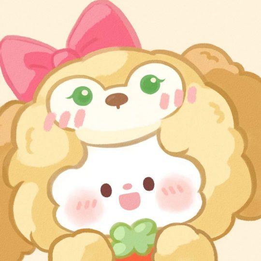 百分之百成都人