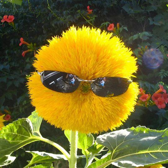 白庆琳个人资料