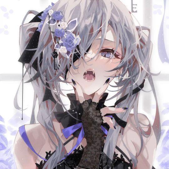 百事通小青年LJT（提问者）