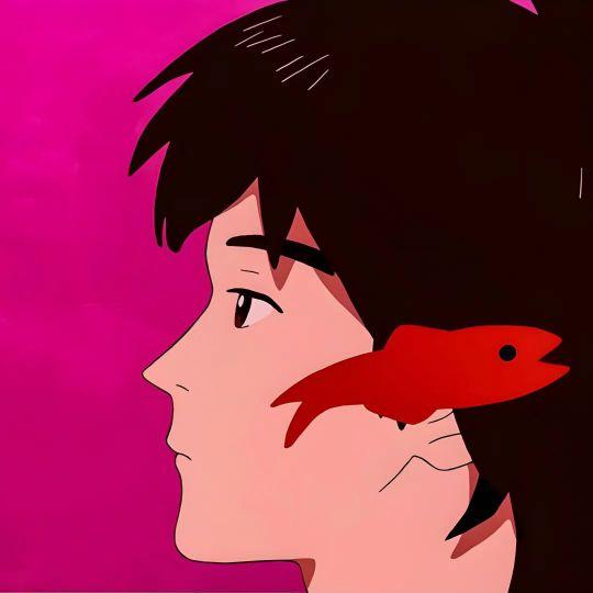 白衣男孩我爱你