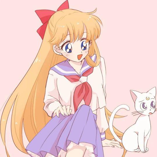 白月光VS朱砂痣